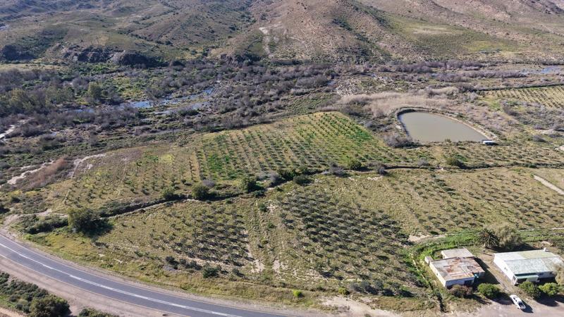0 Bedroom Property for Sale in Ladismith Western Cape